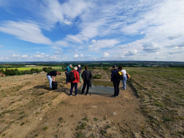 Grüner Strom? Aber bitte aus Stadthagen!